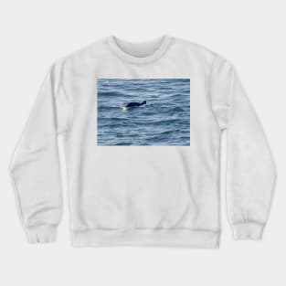 BLOWHOLE Crewneck Sweatshirt